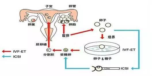 股票配资APP